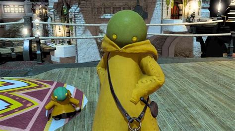 Once you have done that, youll be able to talk to the Dreamer Egg Advocate at Mih Khetto. . Ffxiv tonberry outfit